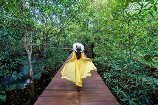 Woman in a flowing yellow dress walking along a wooden path through a green mangrove forest